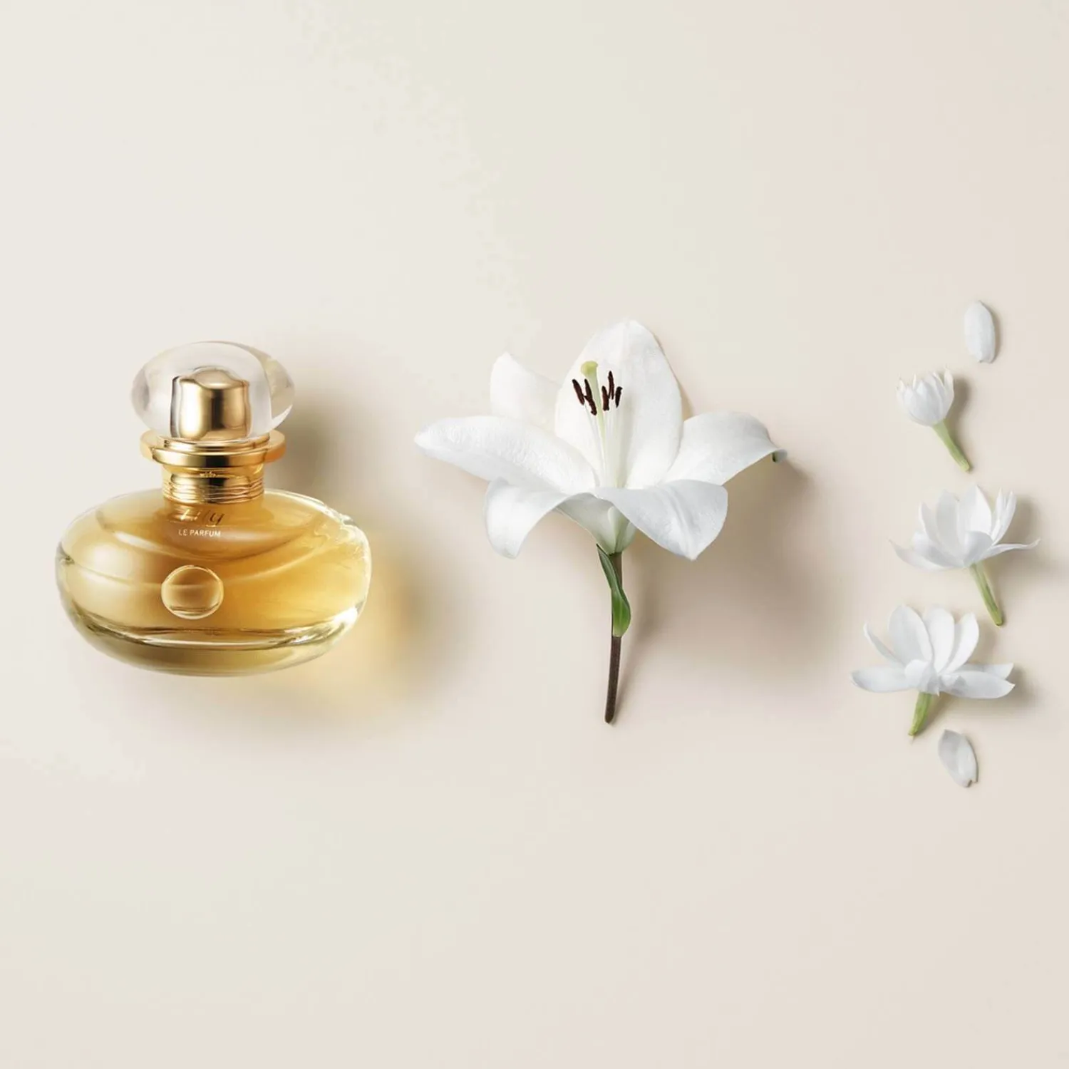 Lily | Mujeres | LILY Perfume para mujer EDP 30 ML